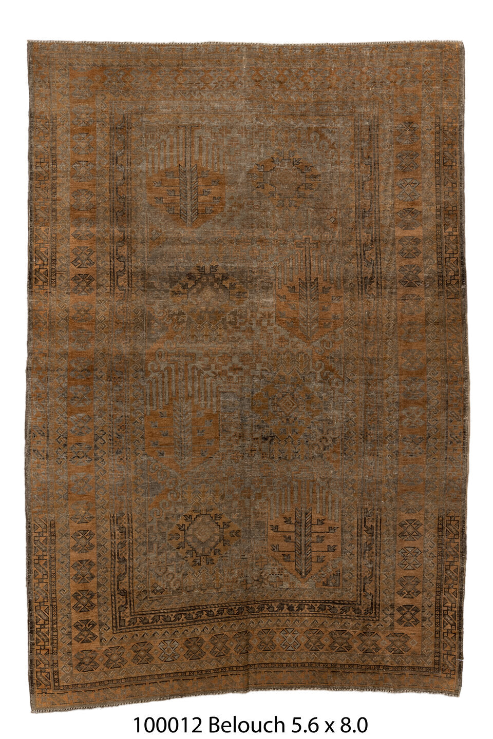 100012 Rug
