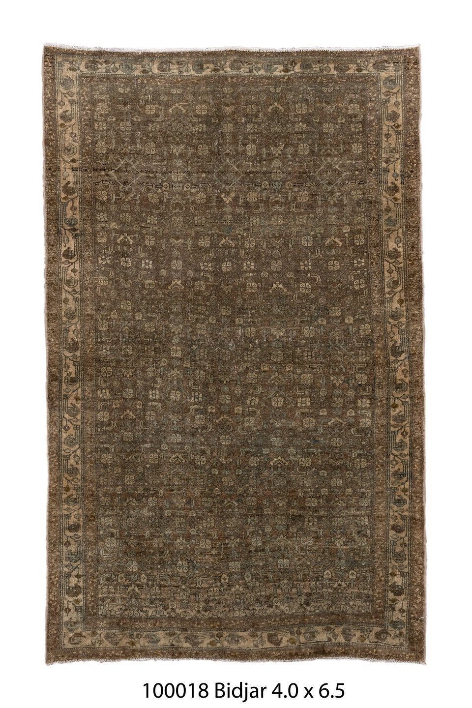 100018 Rug