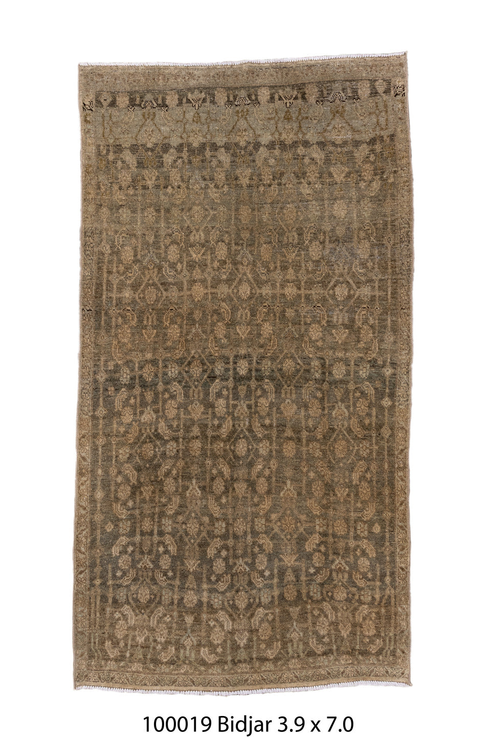 100019 Rug