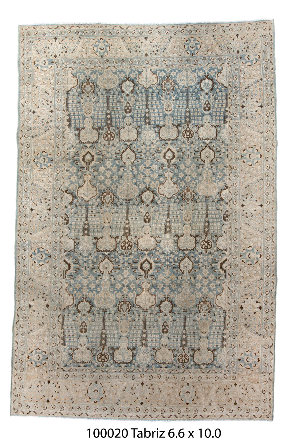 100020 Rug