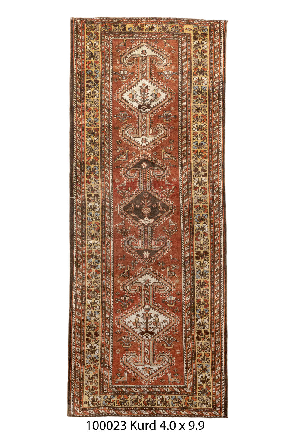 100023 Rug