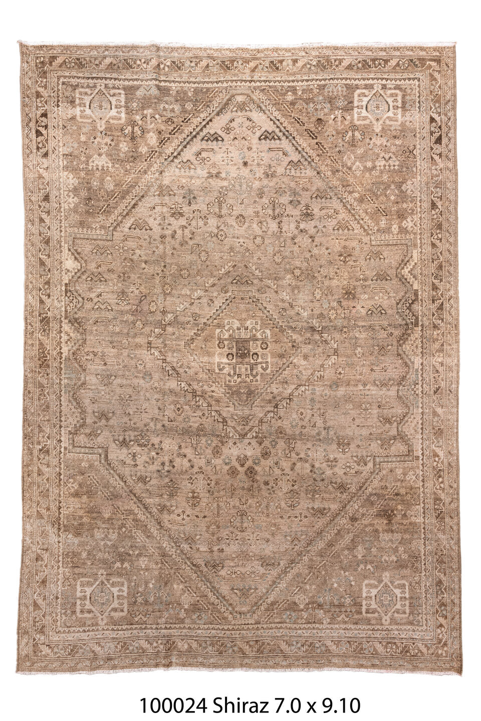 100024 Rug