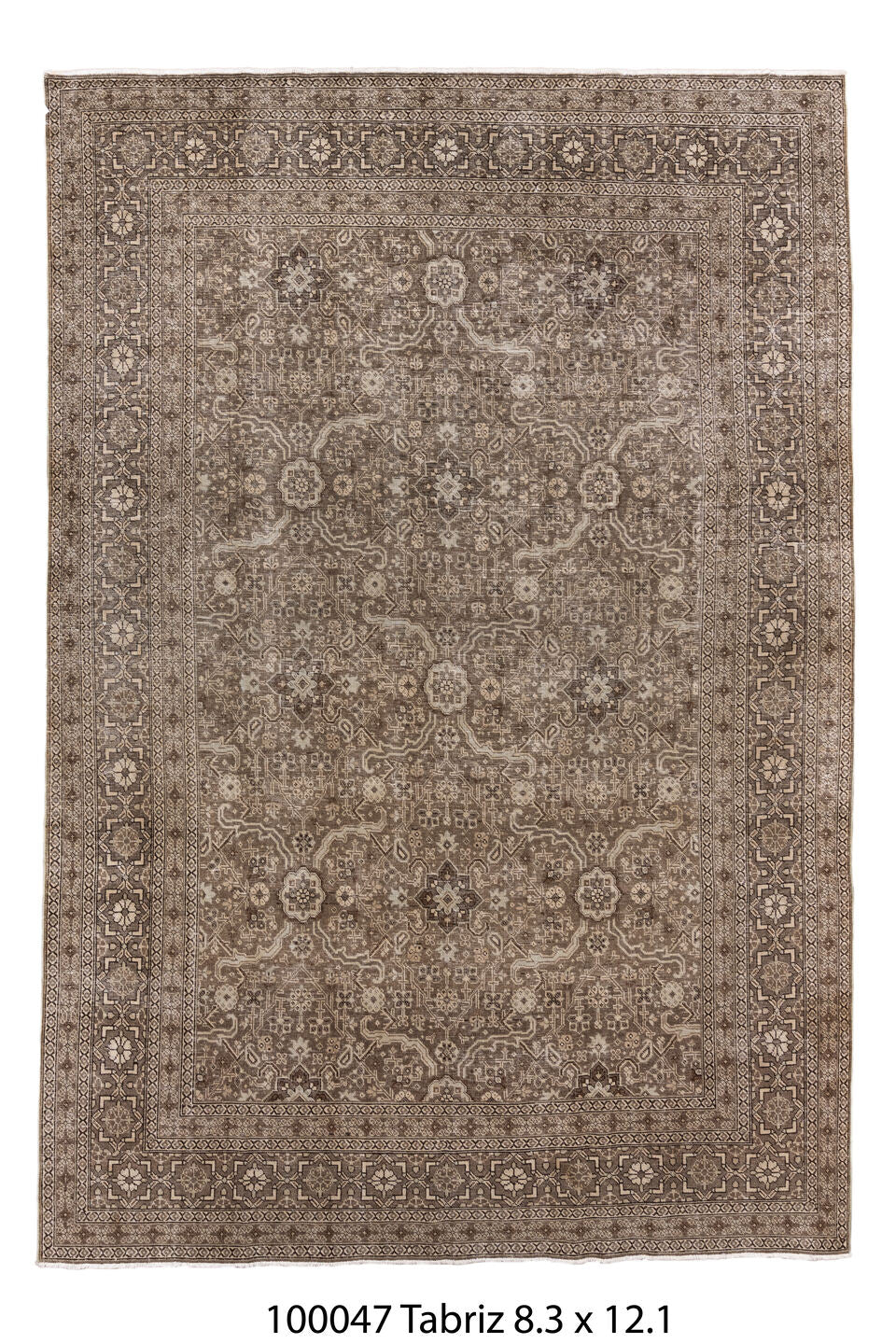 100047 Rug