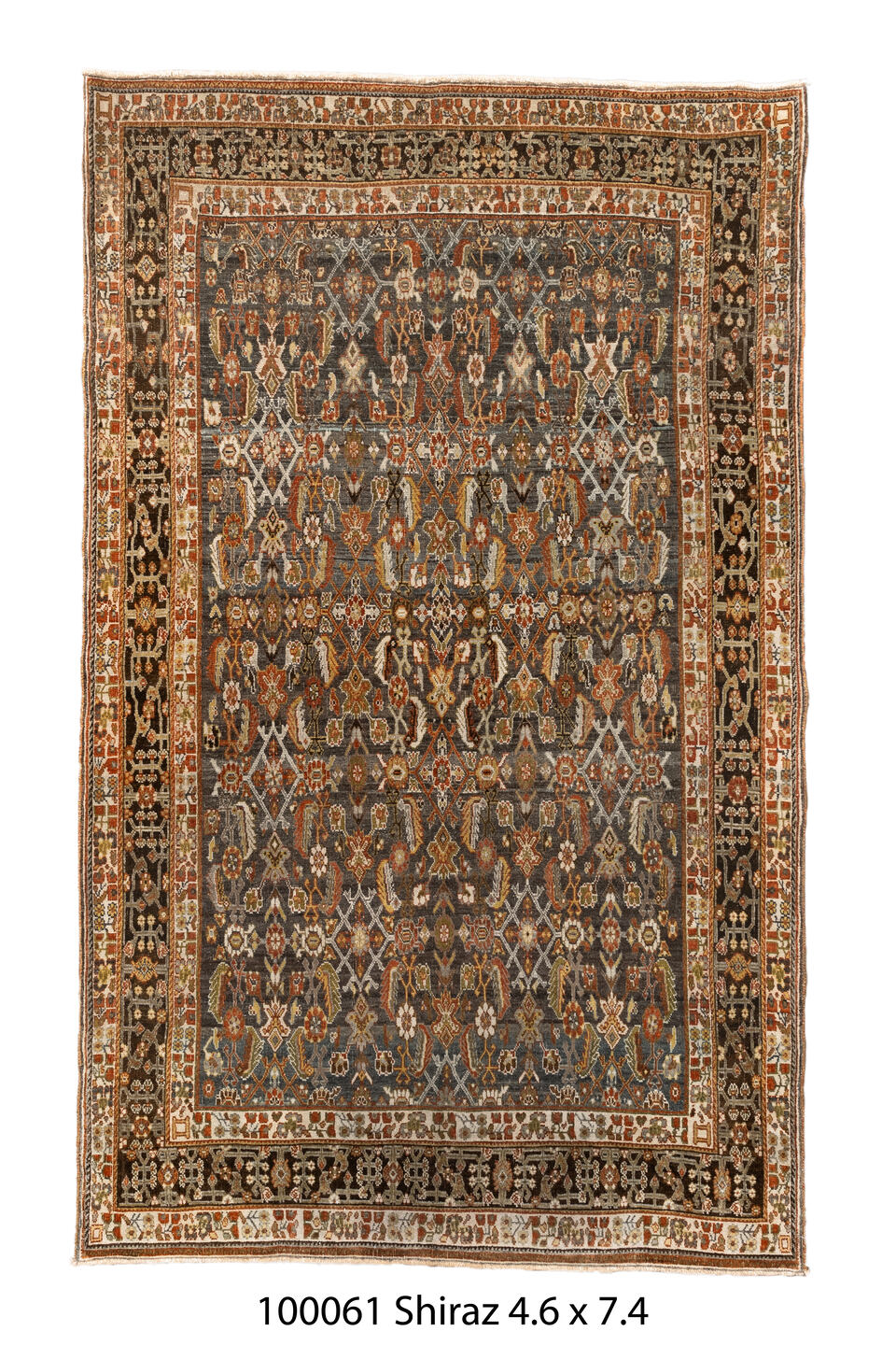 100061 Rug