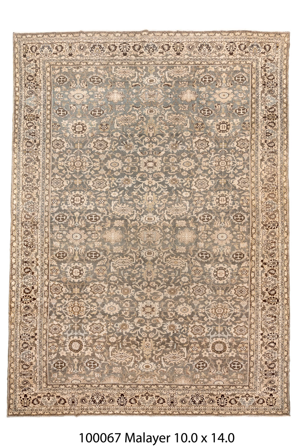 100067 Rug