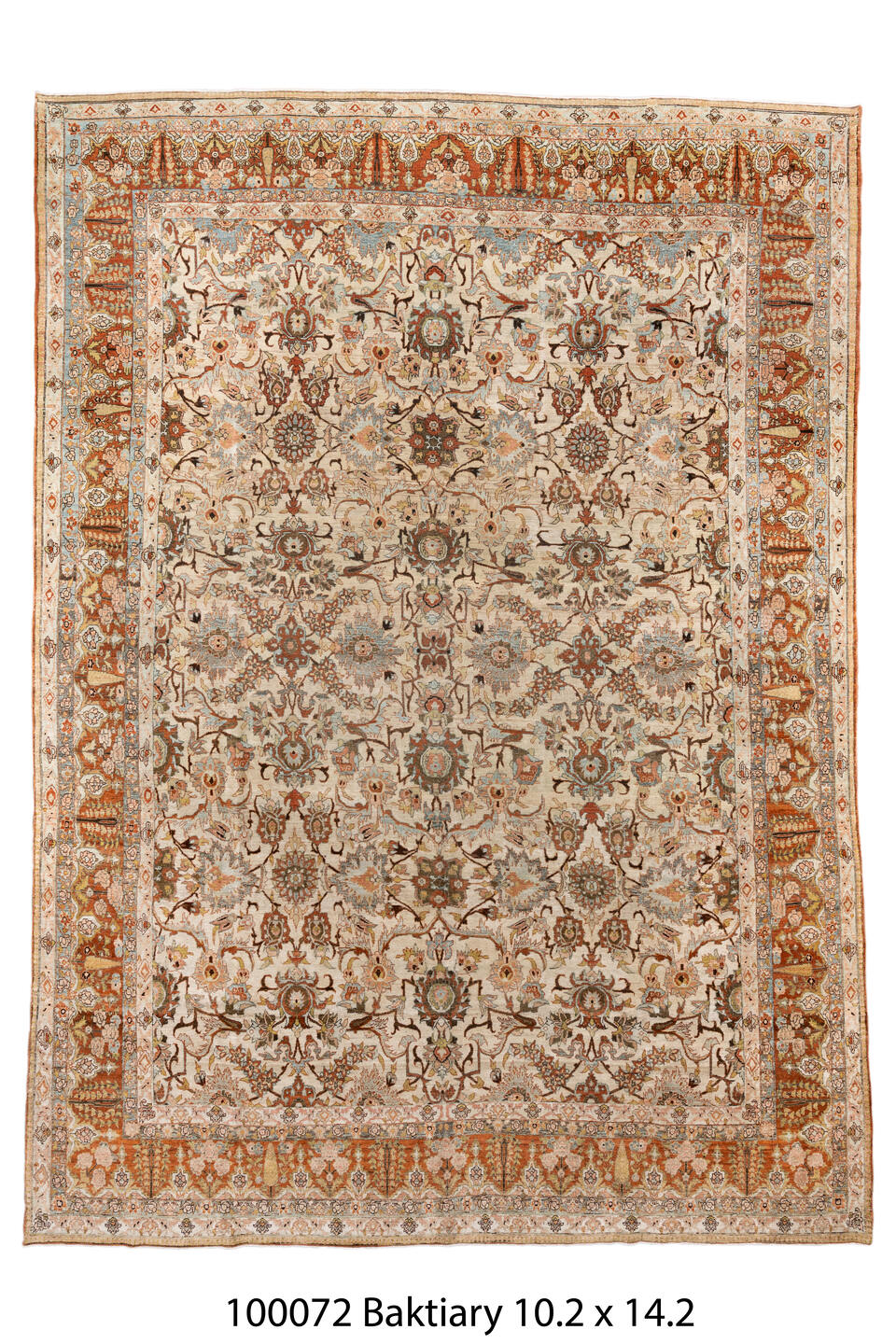 100072 Rug