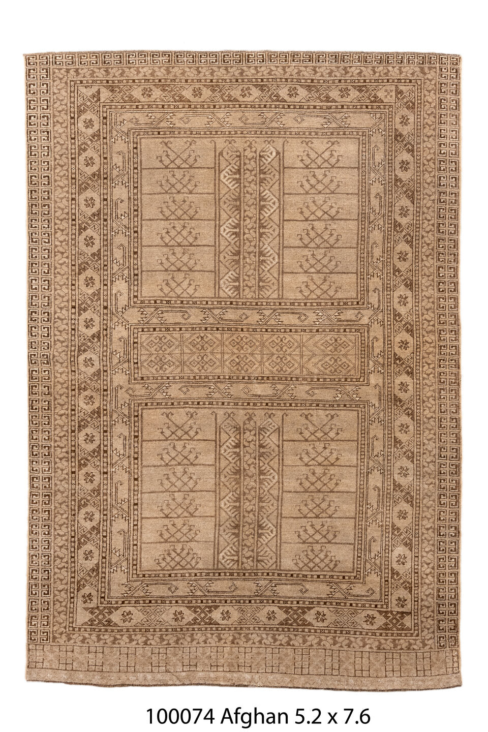 100074 Rug