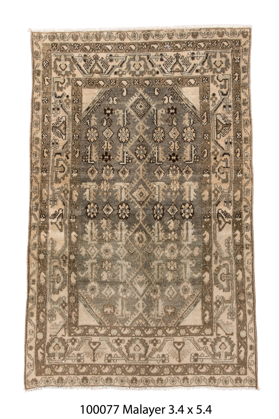 100077 Rug