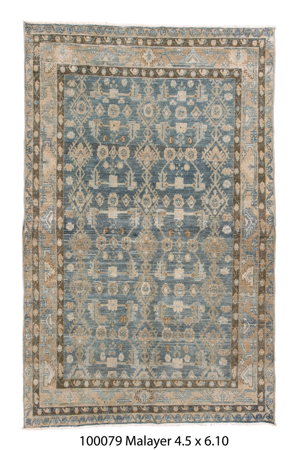 100079 Rug