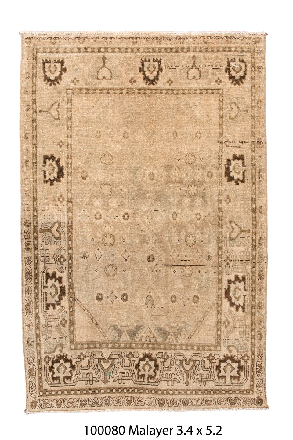 100080 Rug