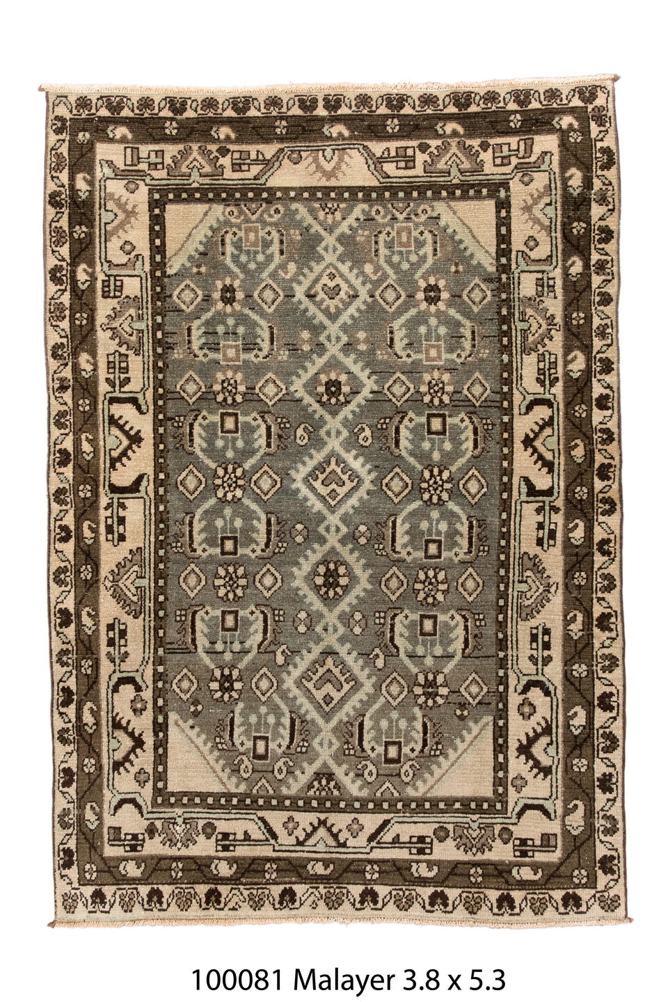 100081 Rug