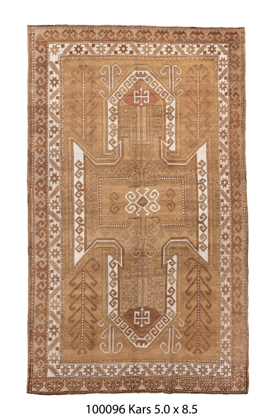 100096 Rug