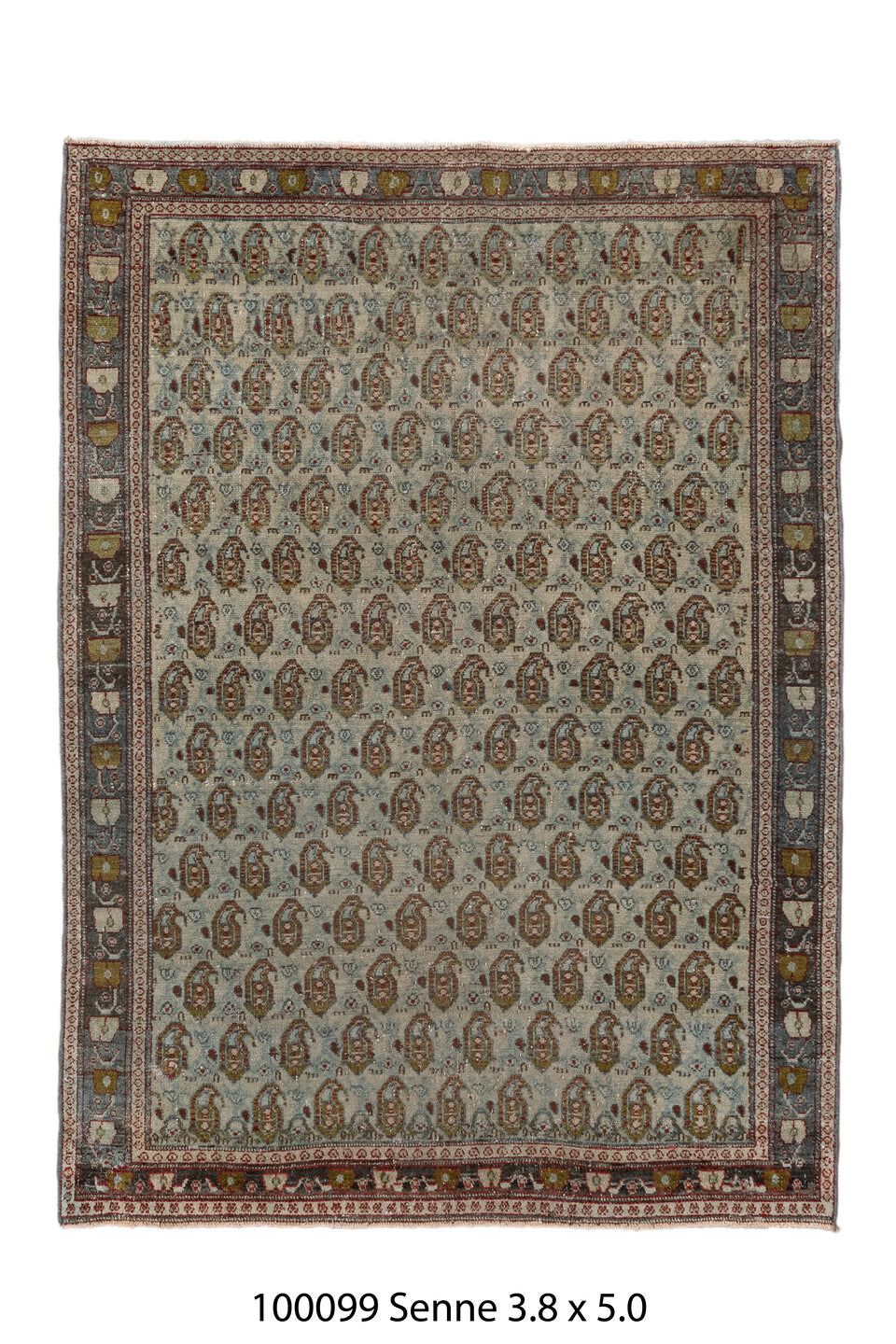 100099 Rug