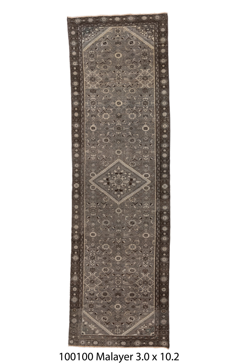 100100 Rug
