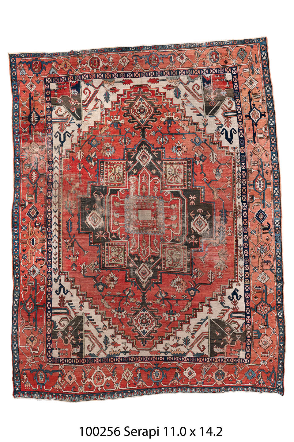 100256 Rug