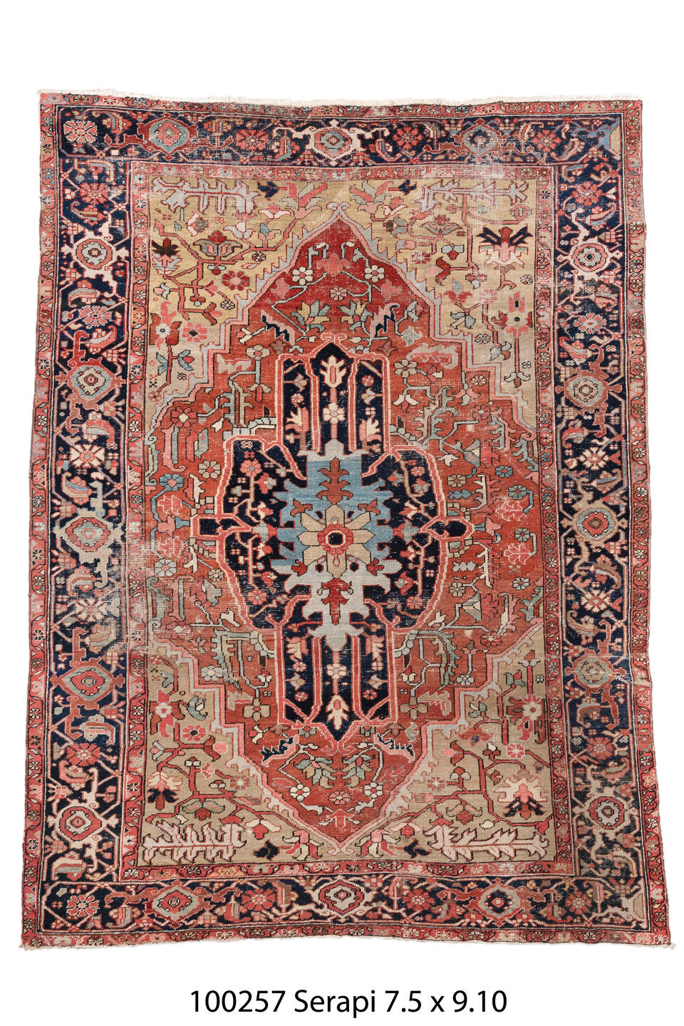100257 Rug