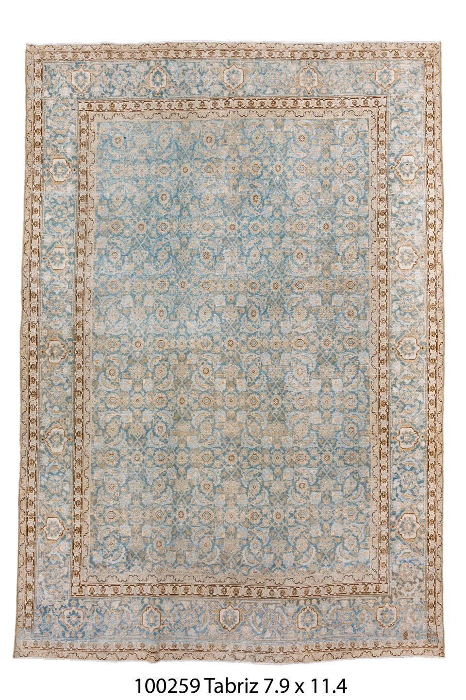 100259 Rug