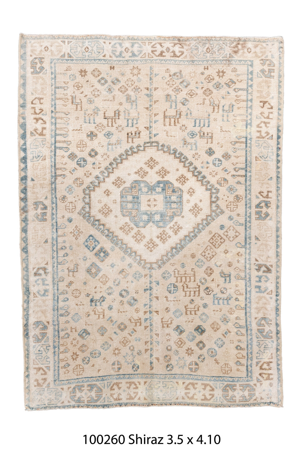 100260 Rug