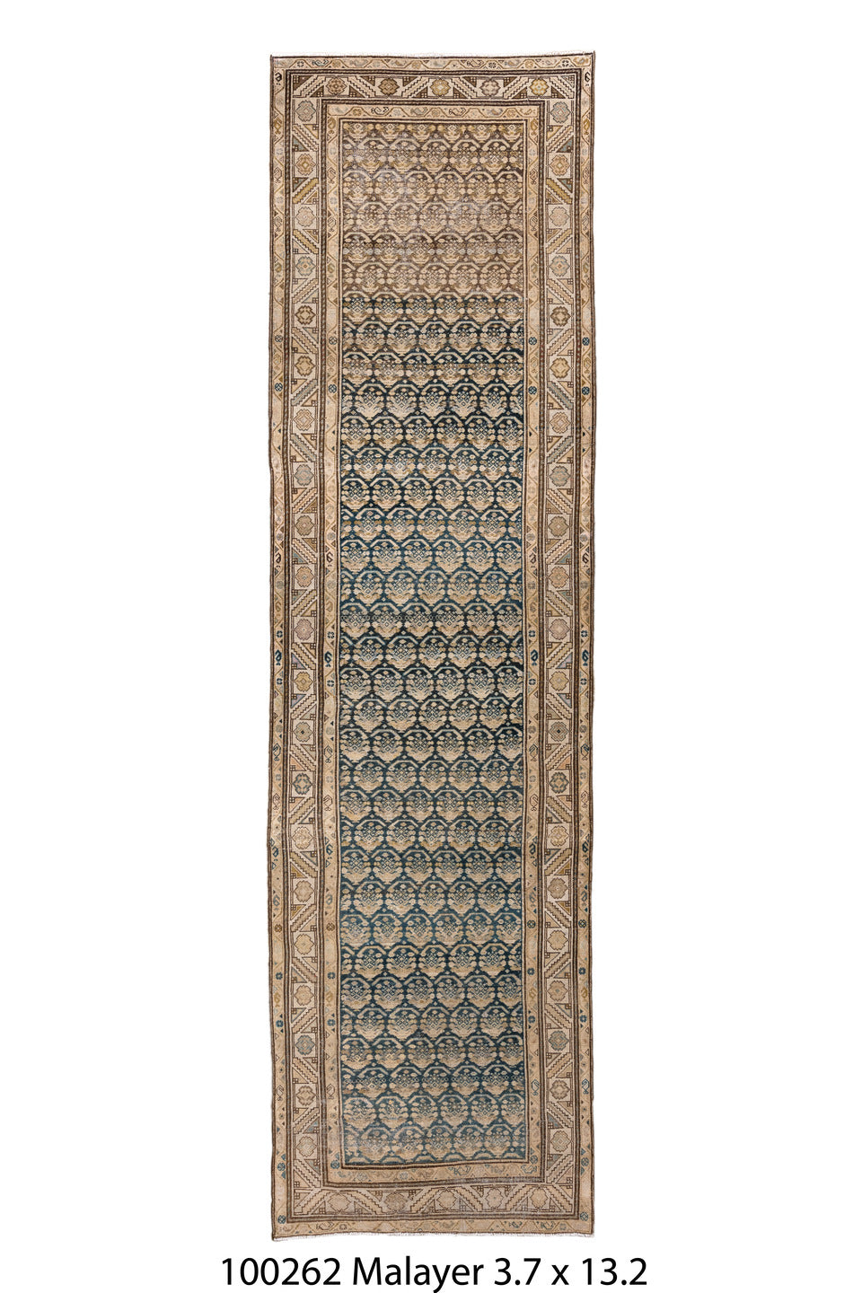 100262 Rug