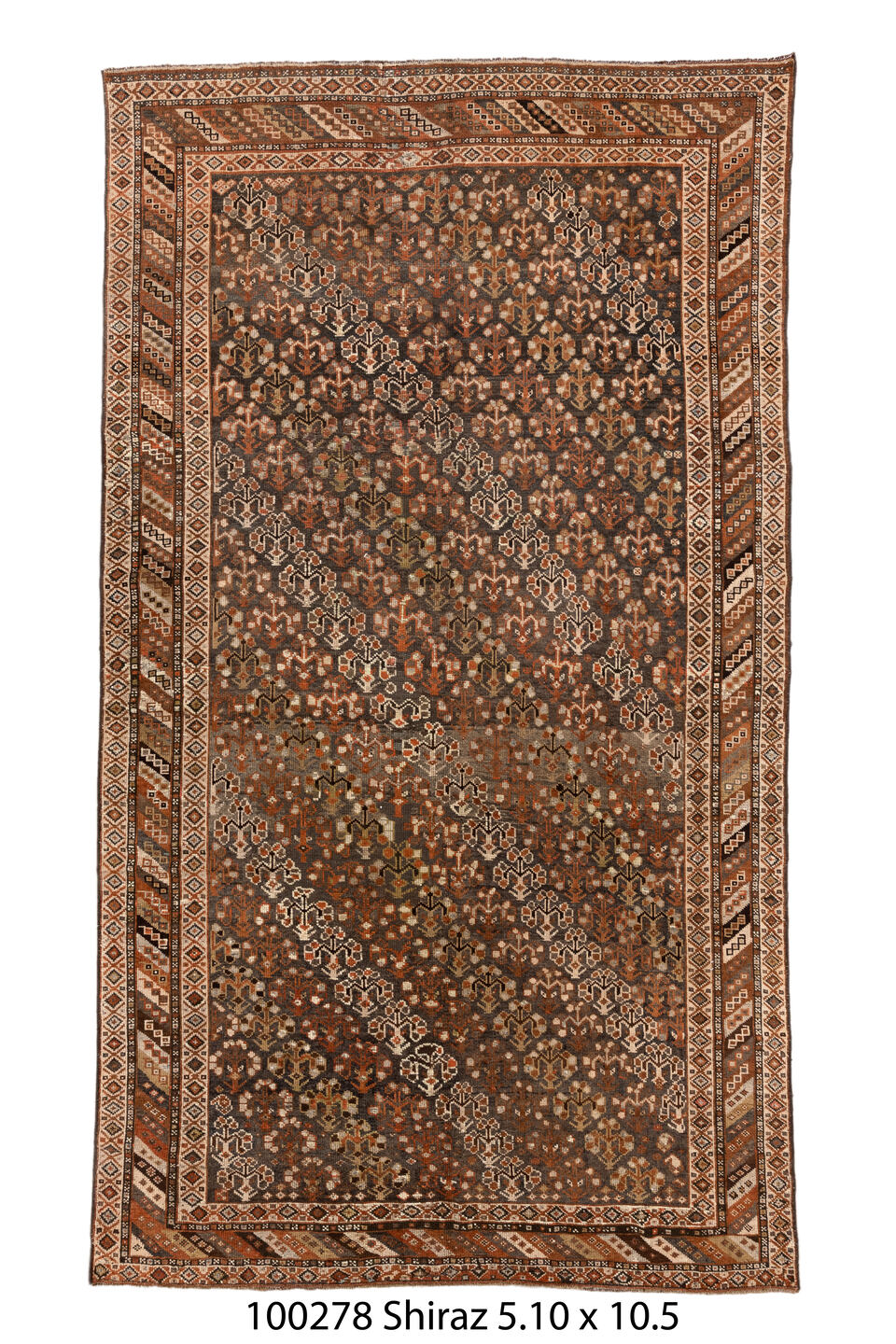 100278 Rug