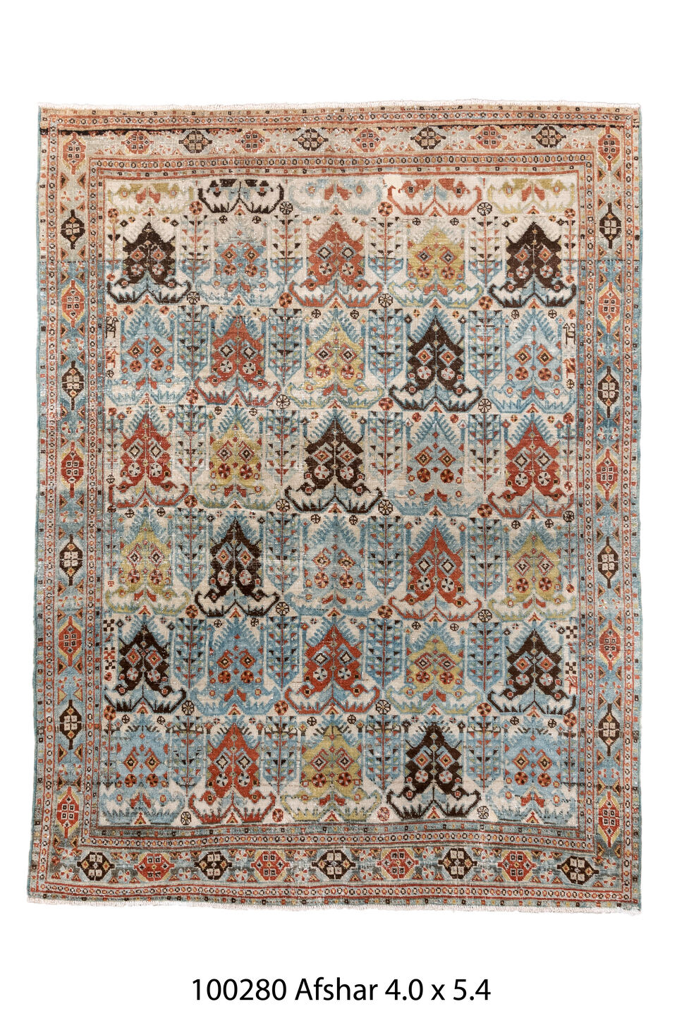 100280 Rug