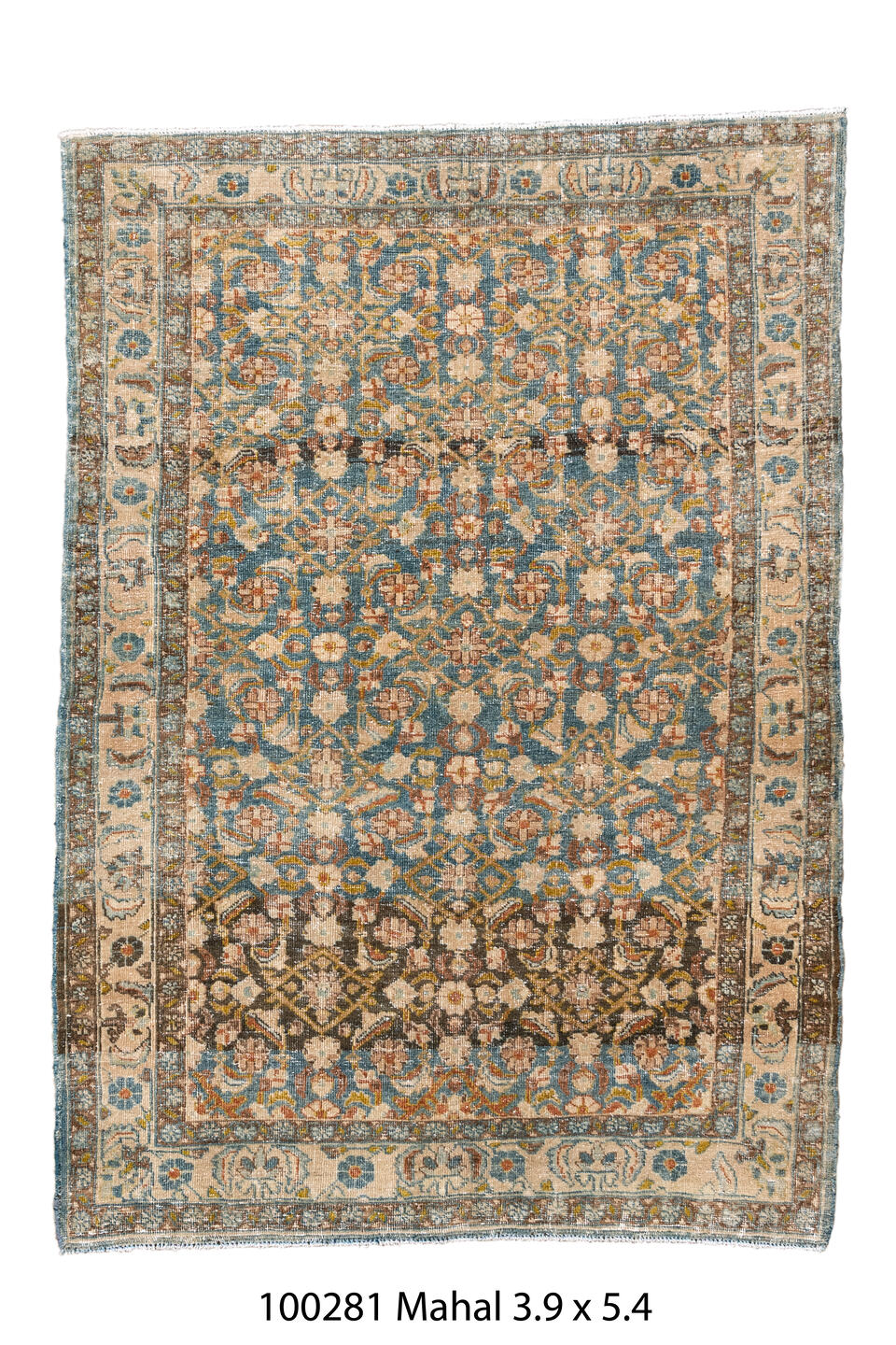 100281 Rug