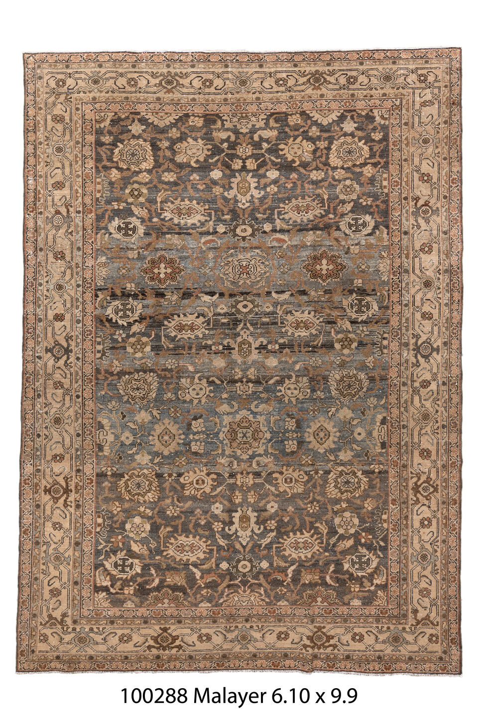 100288 Rug