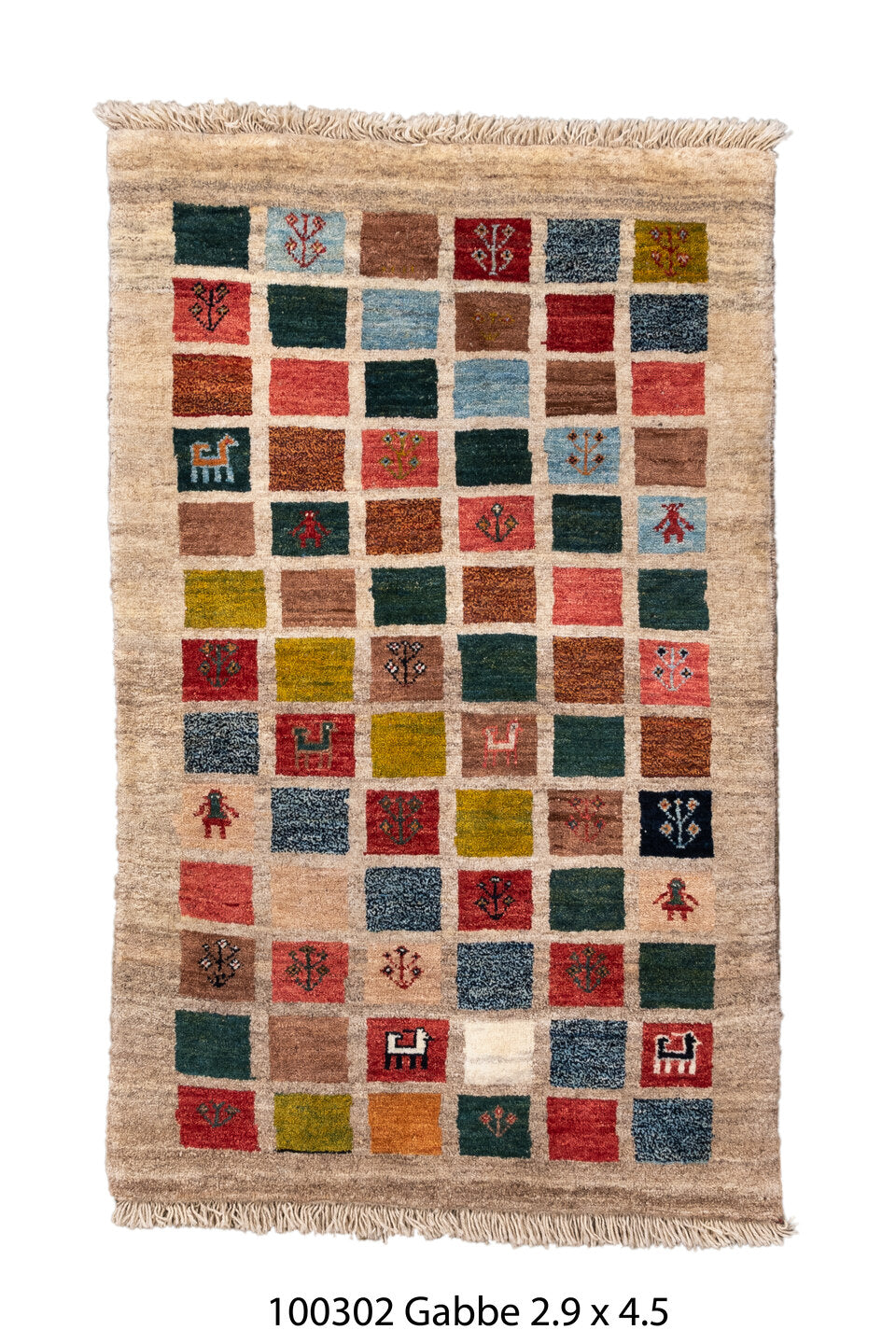 100302 Rug