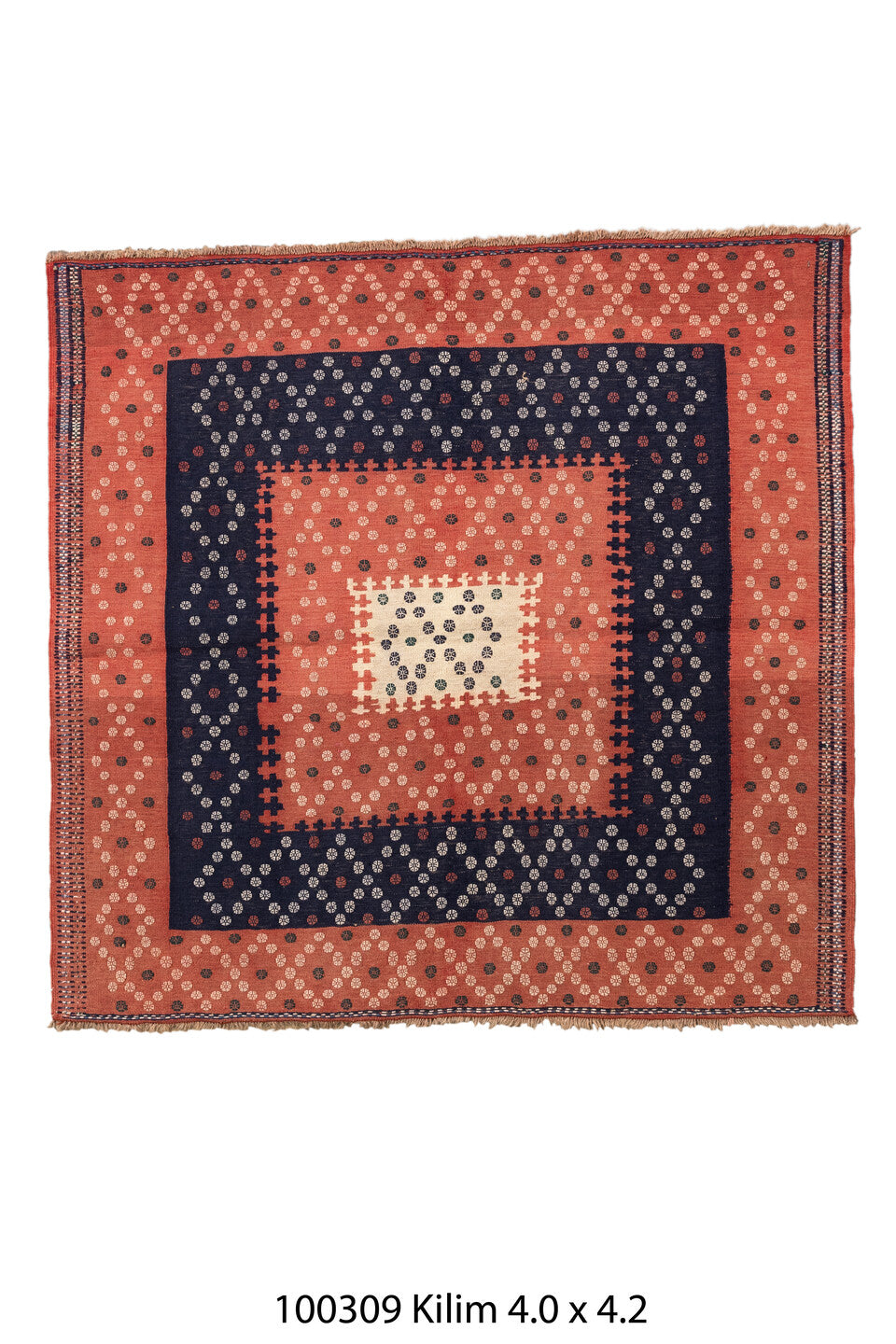 100309 Rug