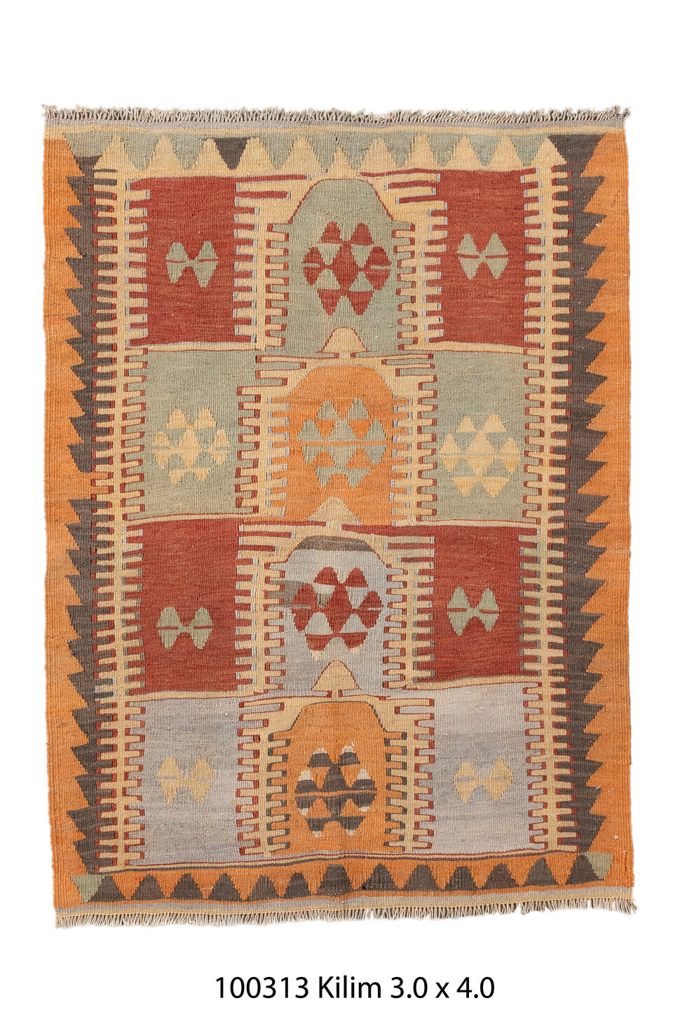 100313 Rug