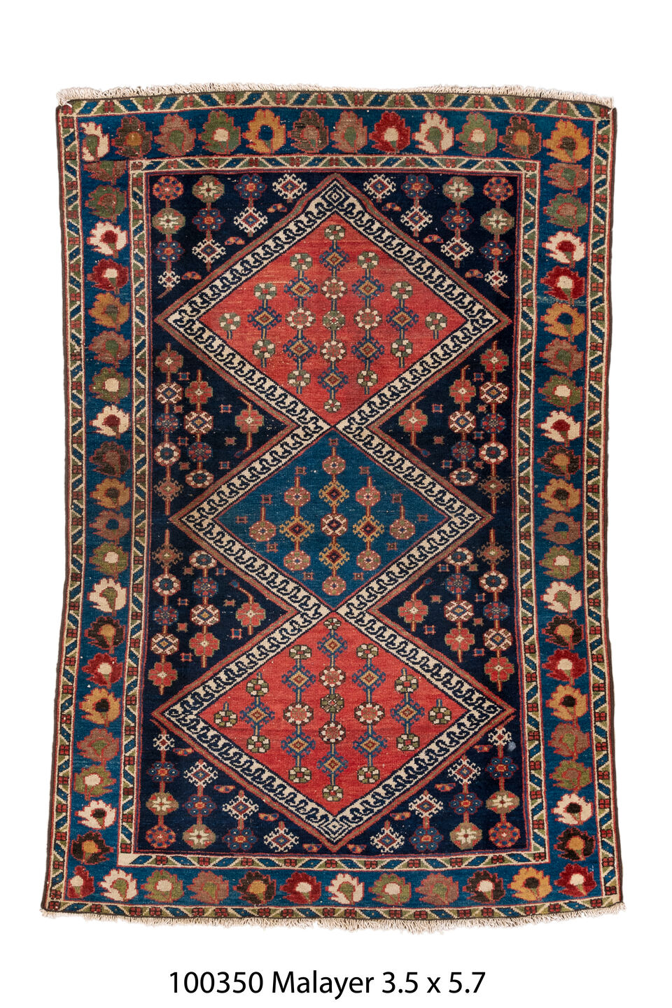 100350 Rug