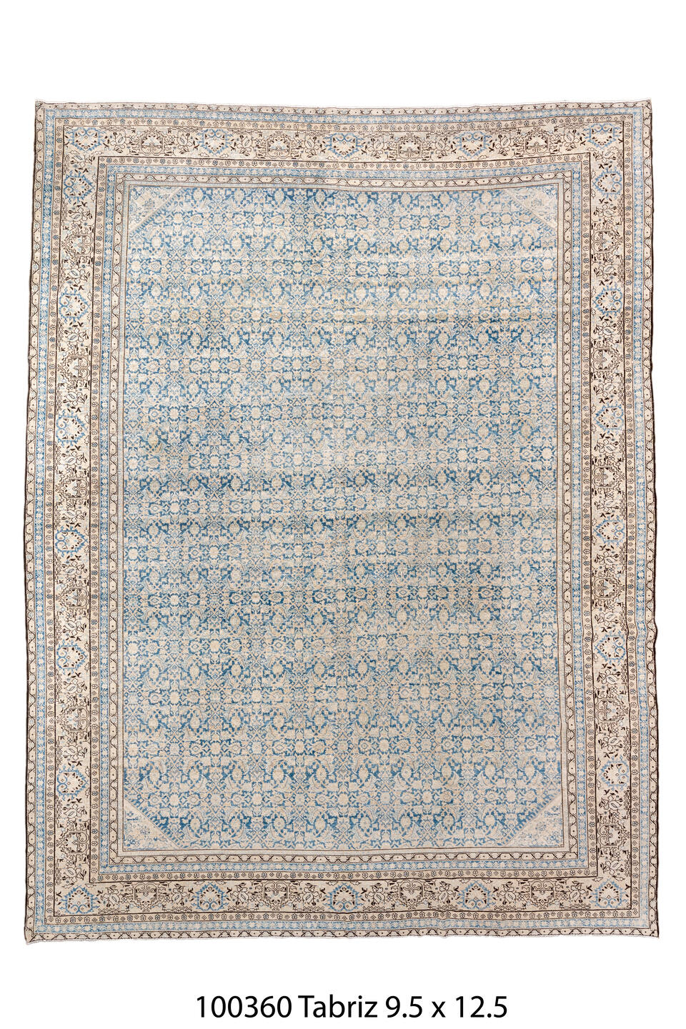 100360 Rug