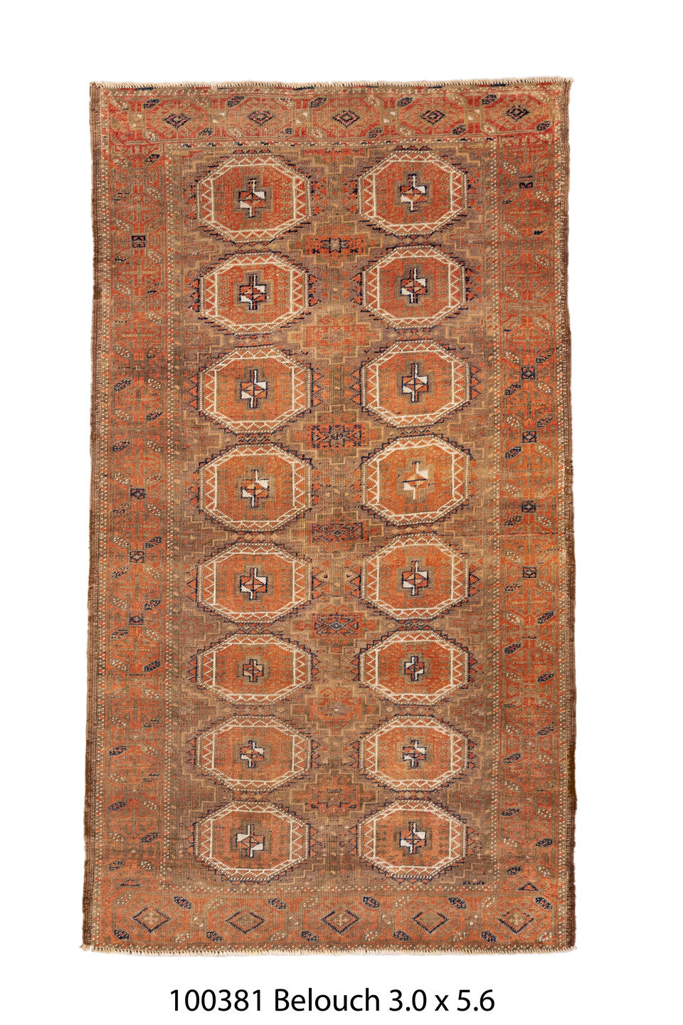 100381 Rug