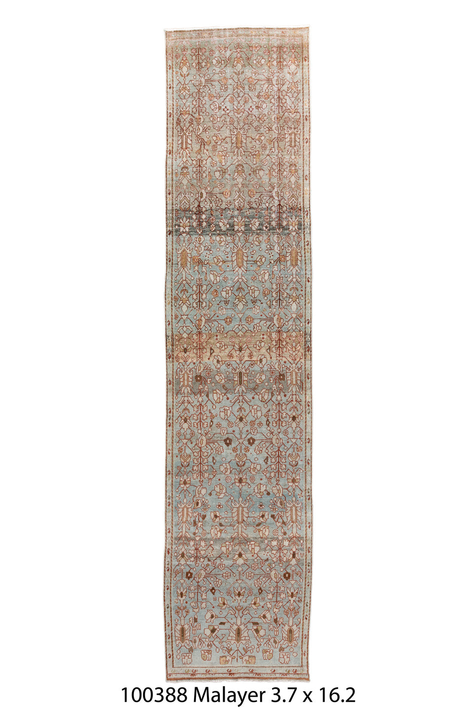 100388 Rug