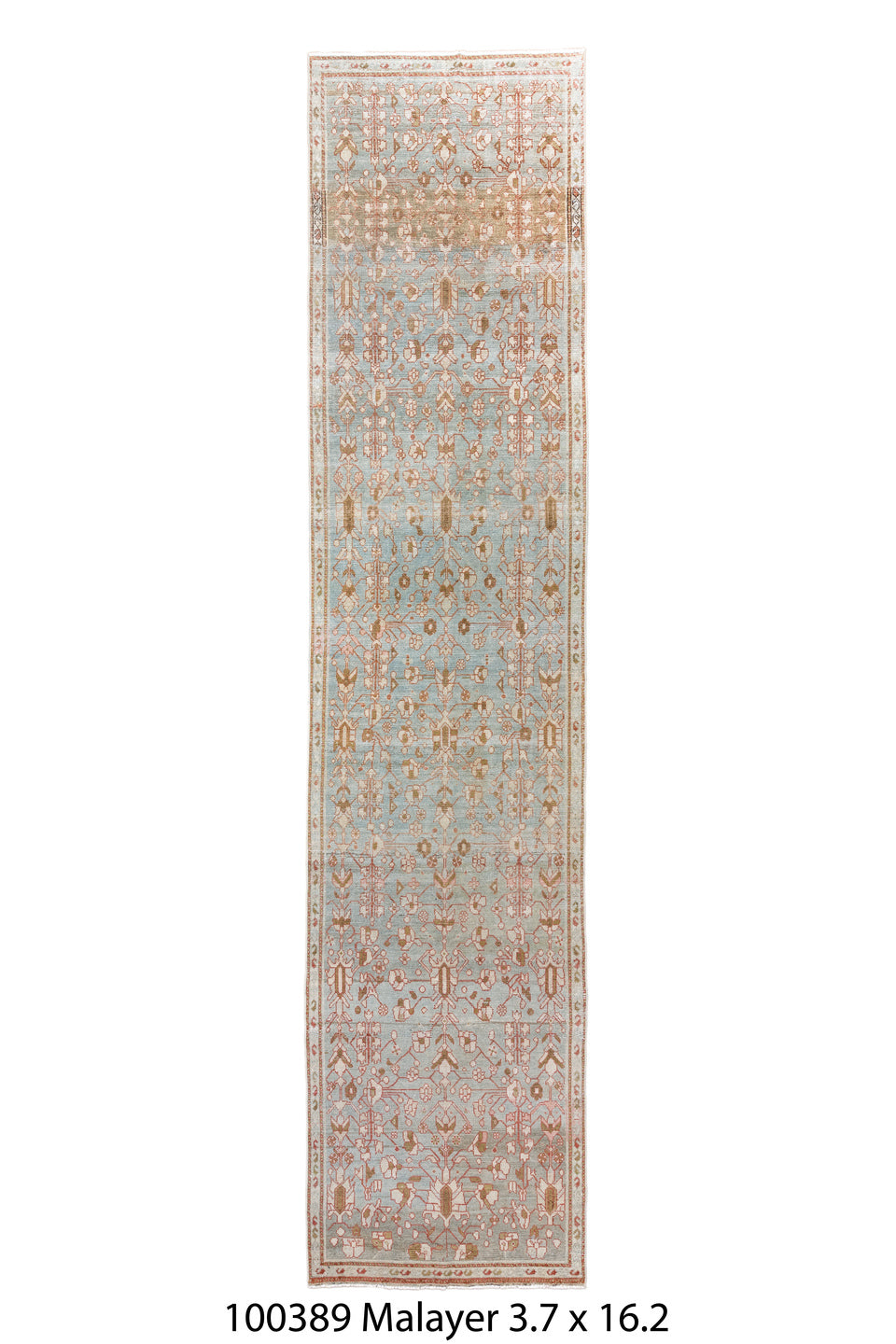 100389 Rug