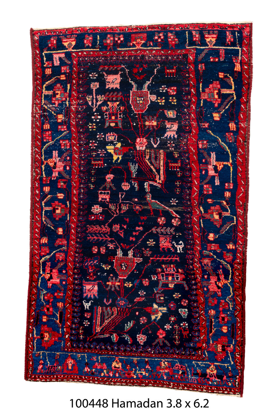 100448 Rug