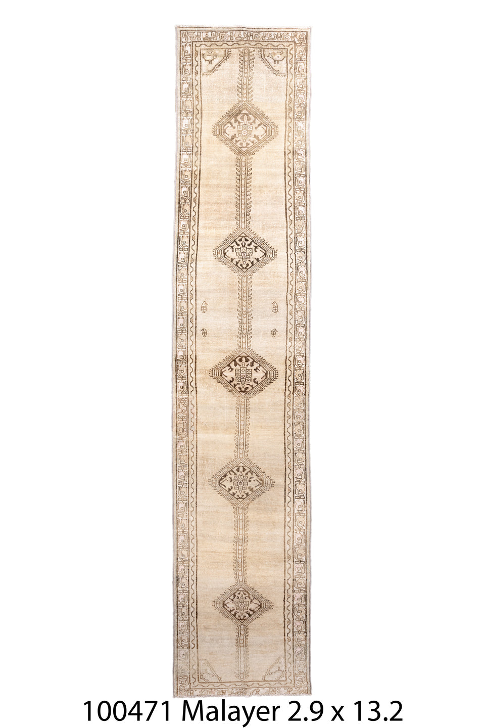 100471 Rug