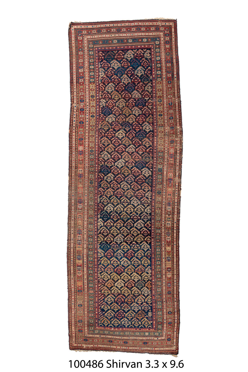 100486 Rug