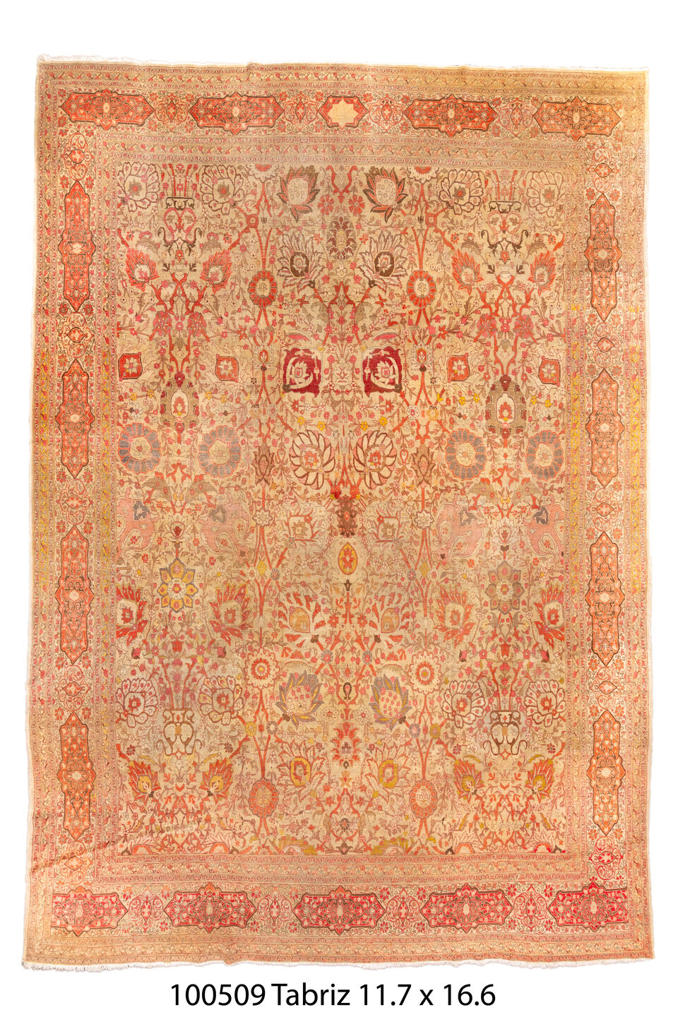 100509 Rug