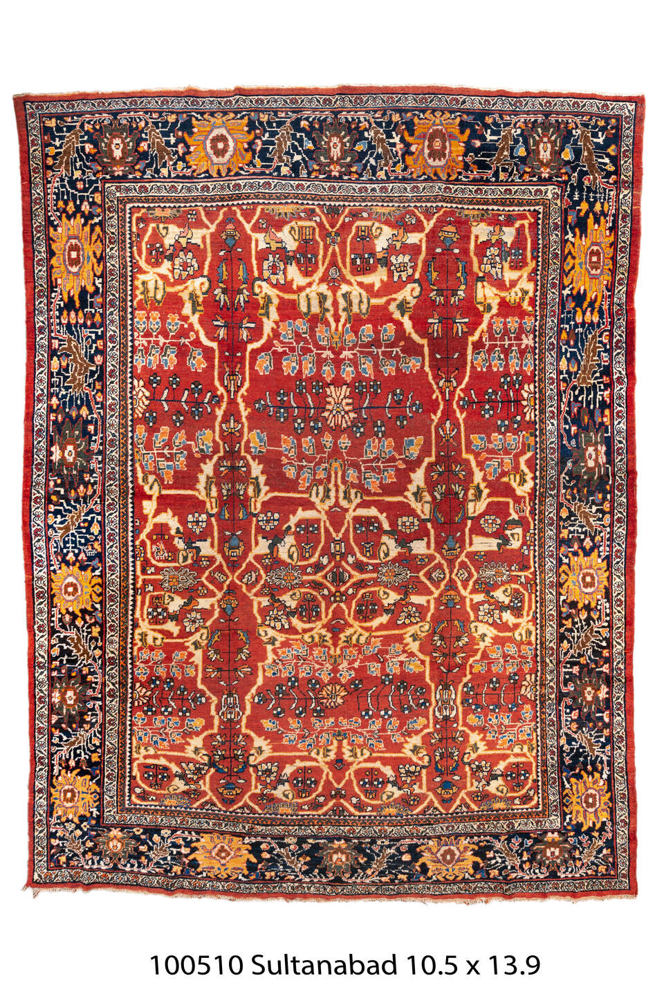 100510 Rug
