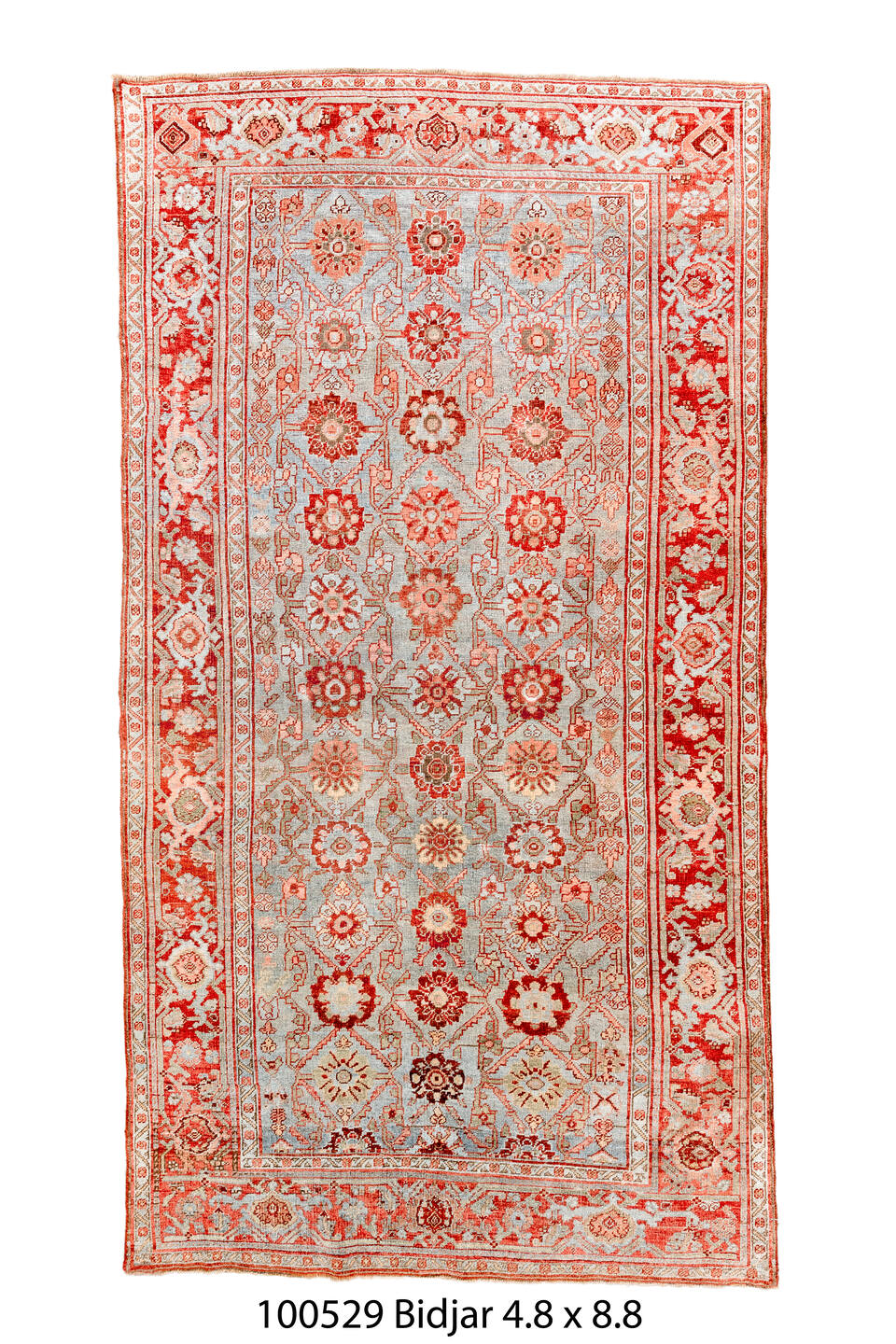 100529 Rug