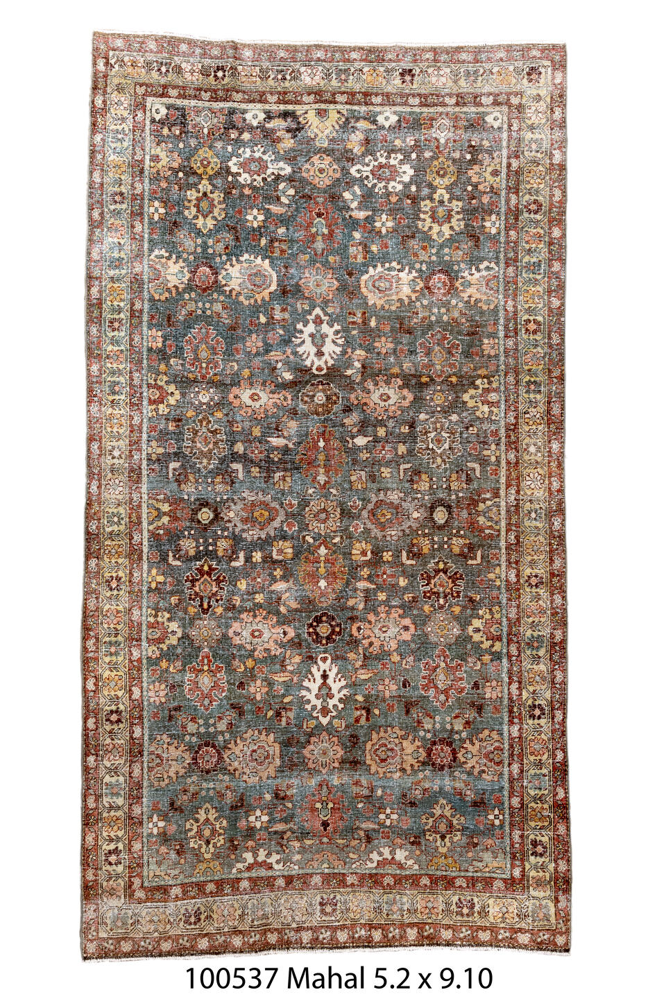 100537 Rug