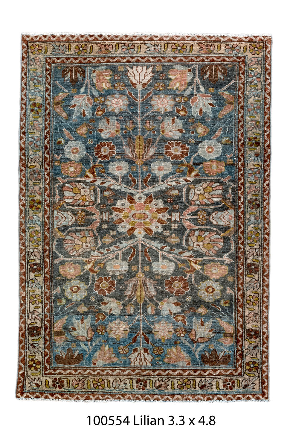 100554 Rug