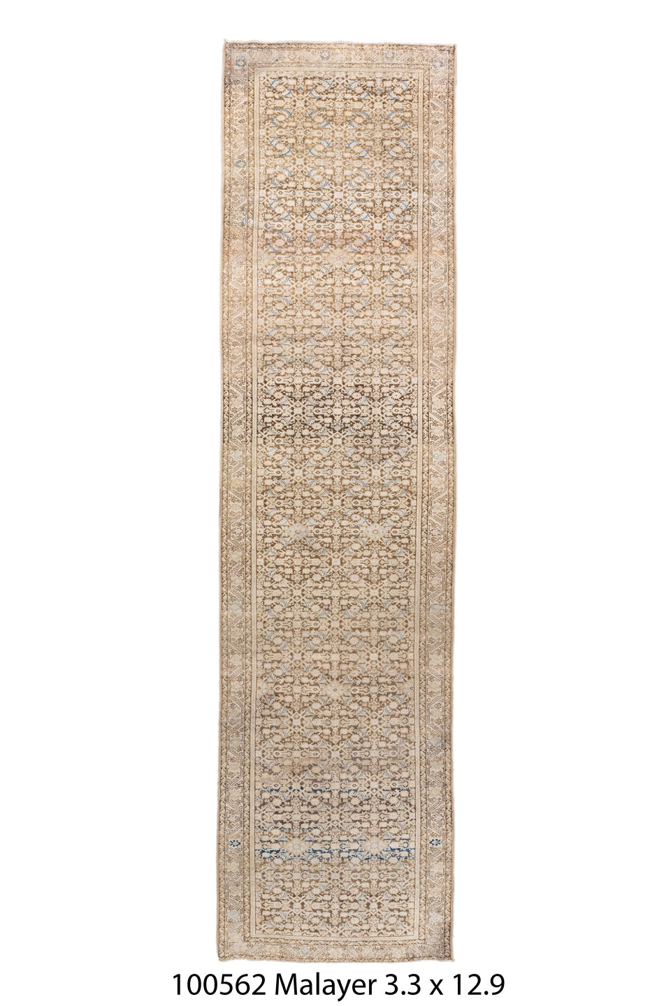 100562 Rug
