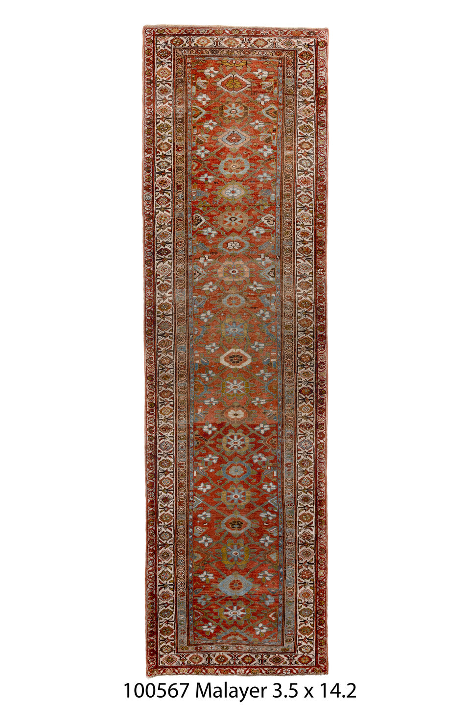 100567 Rug