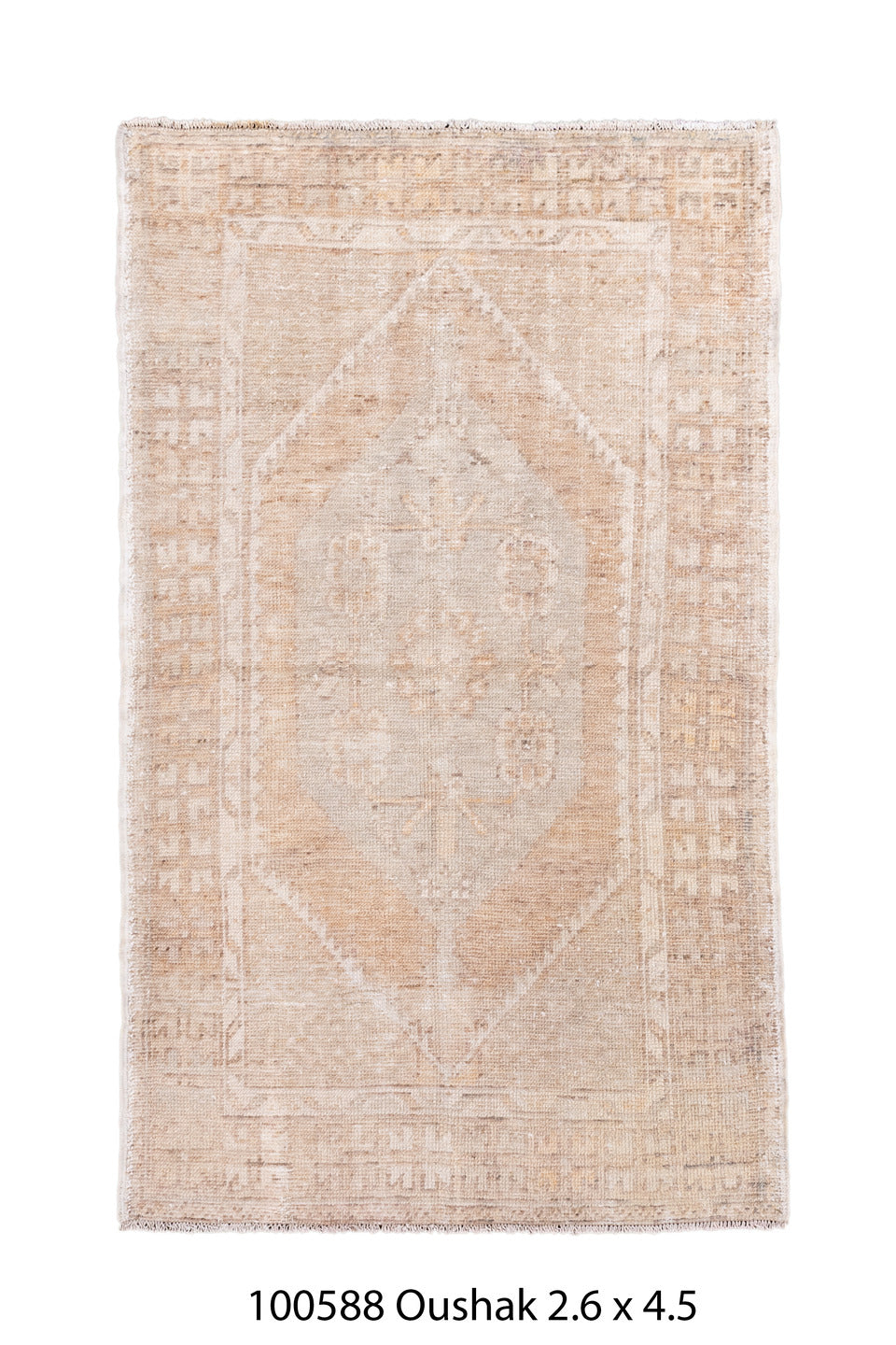 100588 Rug