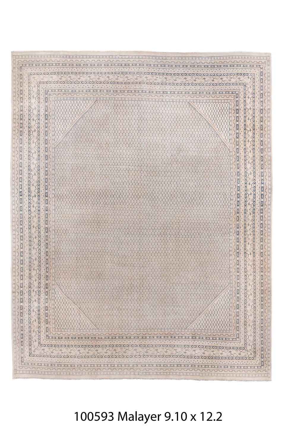 100593 Rug