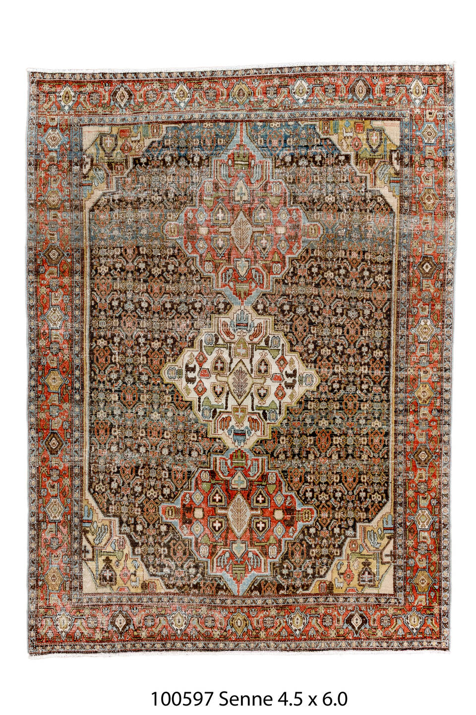 100597 Rug