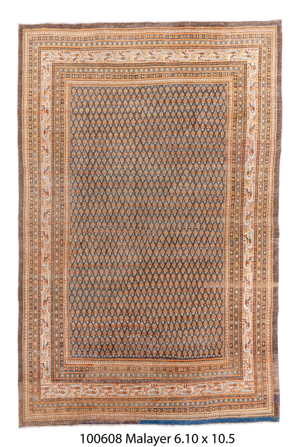100608 Rug