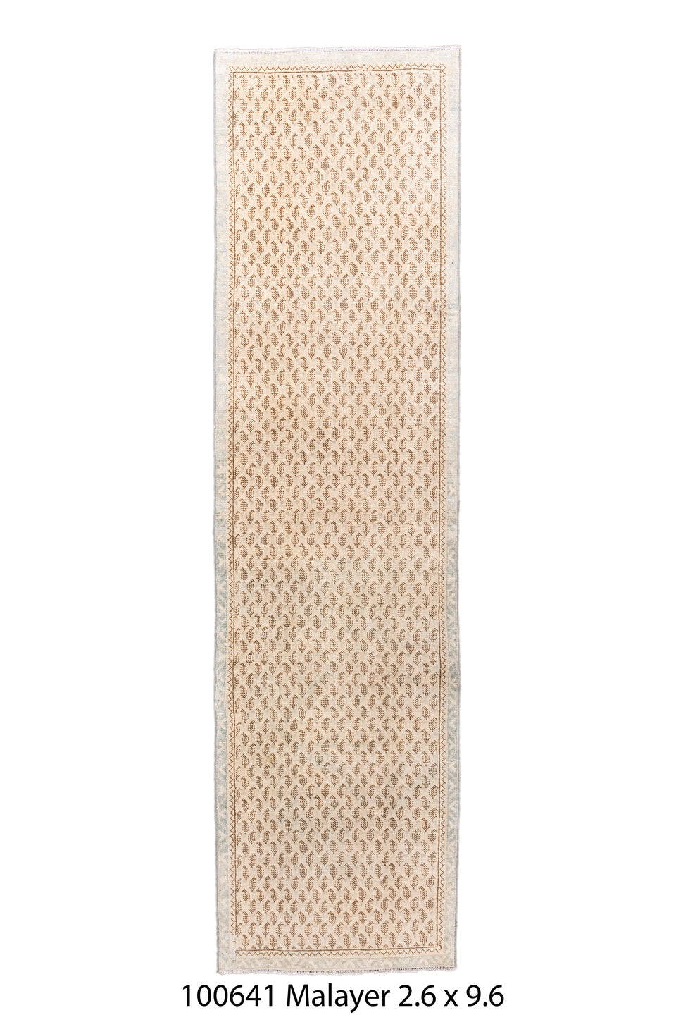 100641 Rug